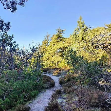 Cozy Cottage Close To Thy National Park Thisted