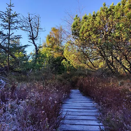 Cozy Cottage Close To Thy National Park Nyaraló Thisted