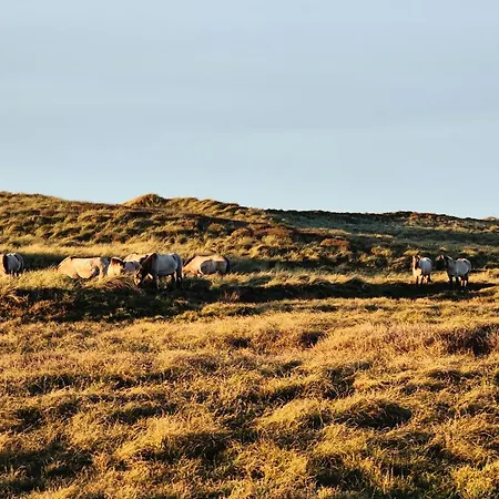 Cozy Close To Thy National Park Feriehus