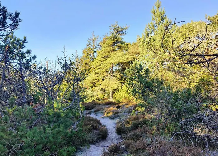 Cozy Close To Thy National Park Thisted